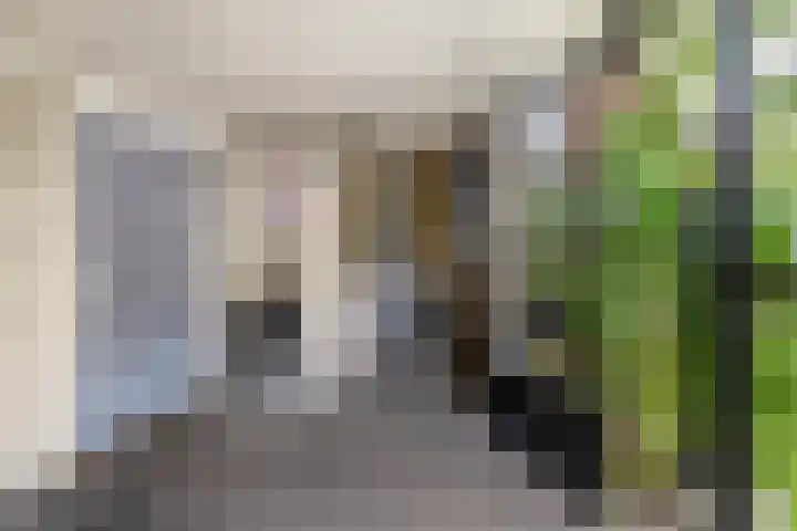 Snoekstraat 29 Eindhoven thumbnail 36