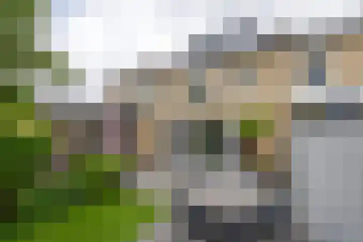 Snoekstraat 29 Eindhoven thumbnail 5