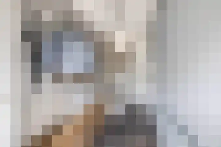 Snoekstraat 29 Eindhoven thumbnail 7