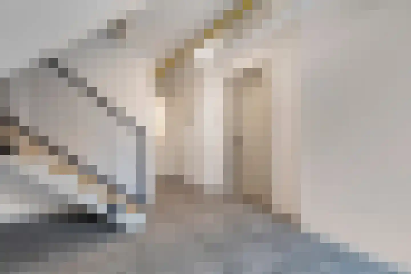 Snoekstraat 6 A Den Haag thumbnail 6