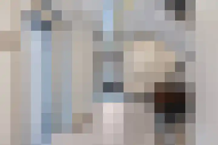 Snoekstraat 6 D Den Haag thumbnail 5