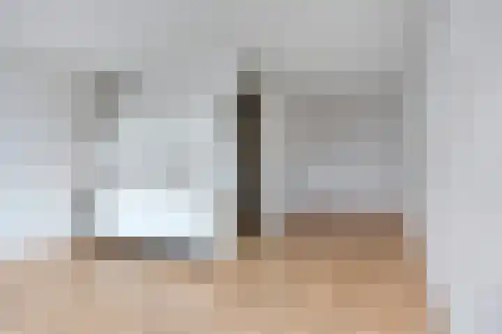Snoekstraat 6 D Den Haag thumbnail 9