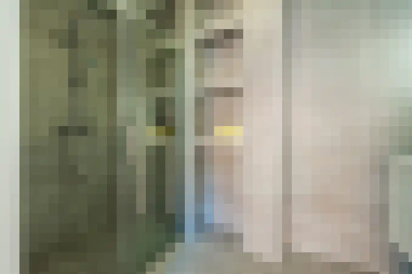 Snoekstraat 6 Den Haag thumbnail 22