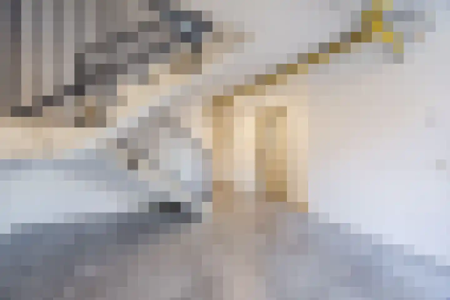 Snoekstraat 6 Den Haag thumbnail 35
