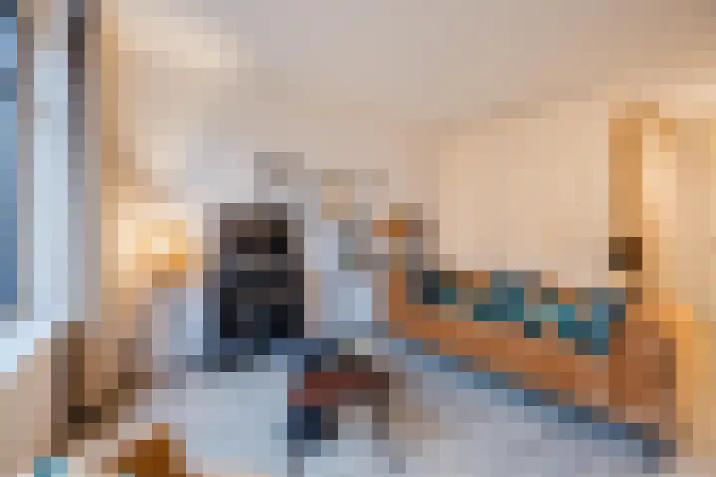 Snoekstraat 6 F Den Haag thumbnail 13