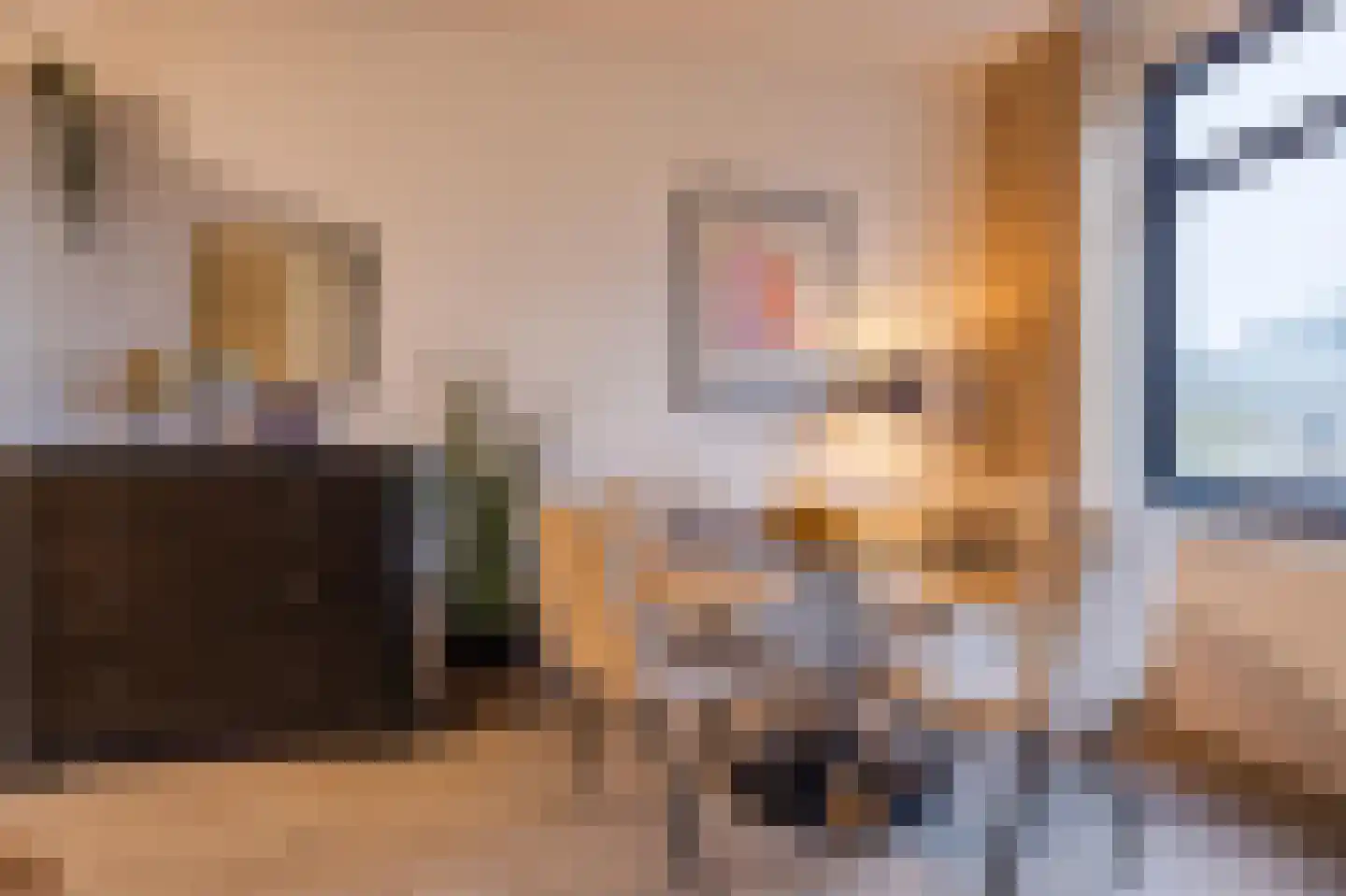 Snoekstraat 6 F Den Haag thumbnail 16
