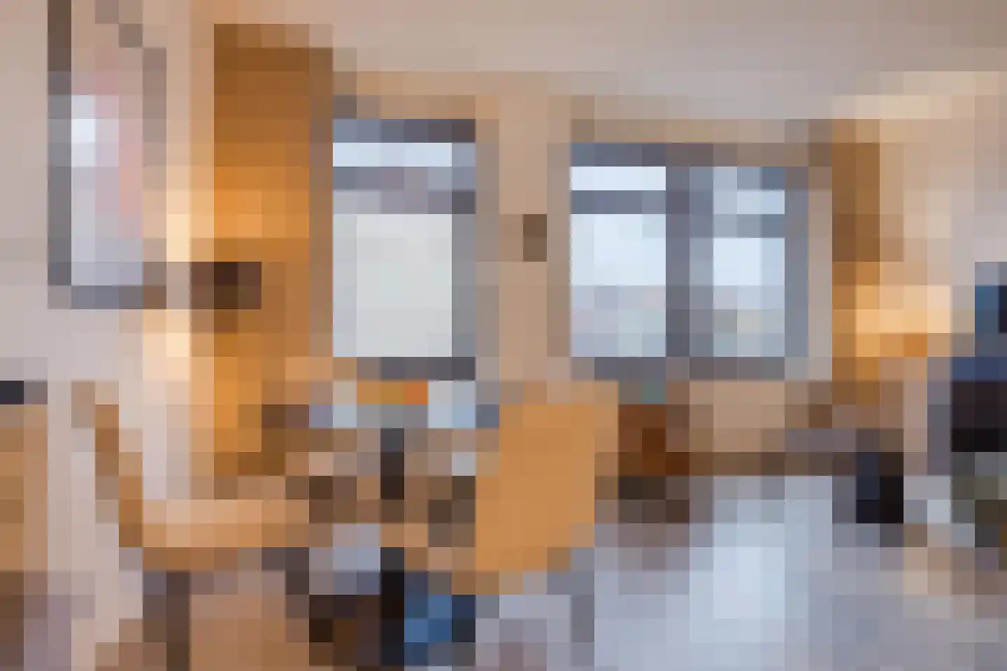 Snoekstraat 6 F Den Haag thumbnail 17