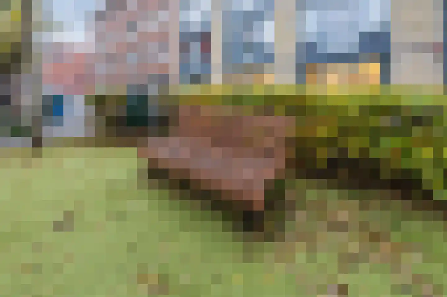 Snoekstraat 6 F Den Haag thumbnail 39