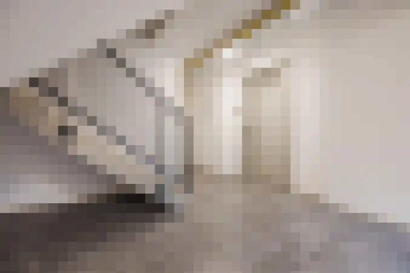 Snoekstraat 6 F Den Haag thumbnail 6