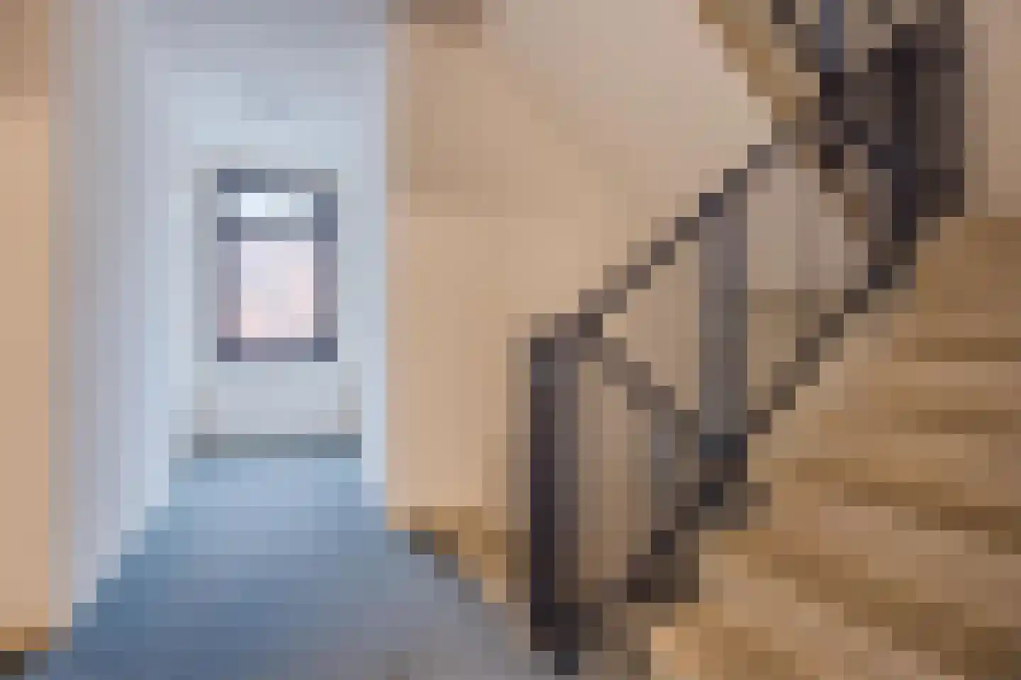 Snoekstraat 6 F Den Haag thumbnail 8