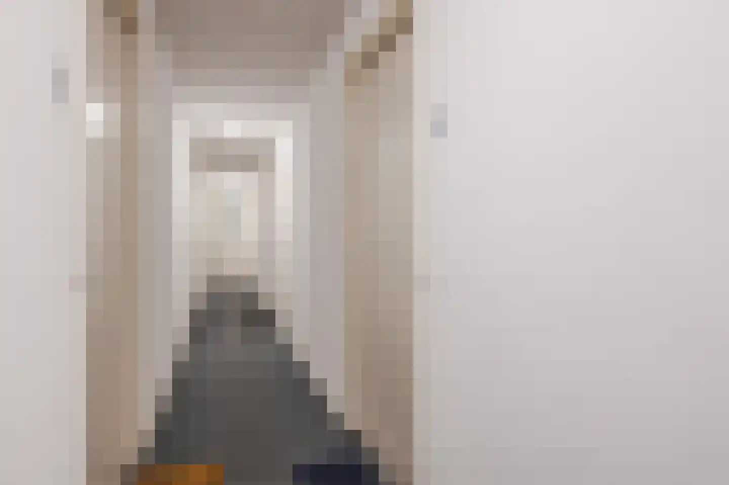 Snoekstraat 6 F Den Haag thumbnail 9