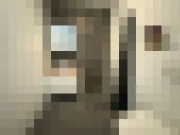 Snoekstraat 8 B Den Haag thumbnail 12