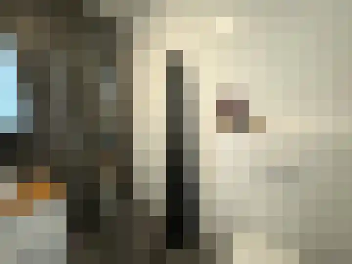 Snoekstraat 8 B Den Haag thumbnail 9