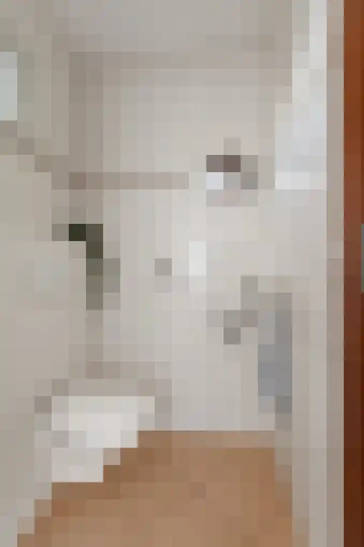 Photo de bureau de Snoep Makelaardij