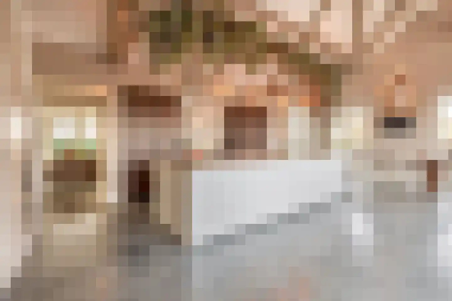 Snoertsebaan 40 Deurne thumbnail 14