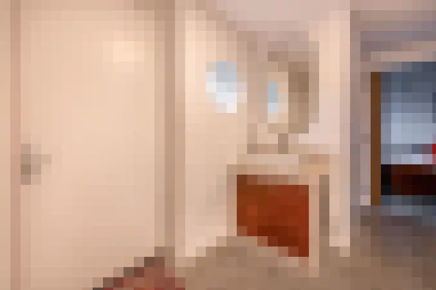 Snoertsebaan 40 Deurne thumbnail 26