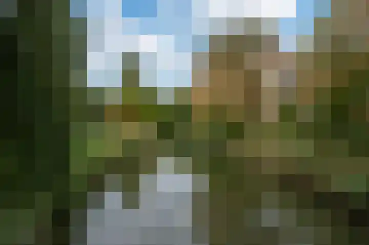 Snoertsebaan 40 Deurne thumbnail 28