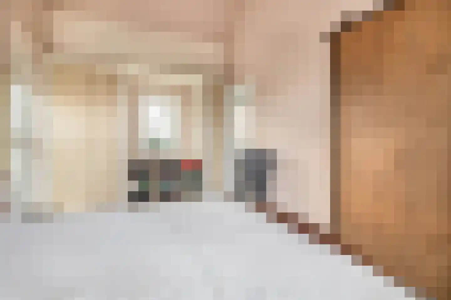Snoertsebaan 40 Deurne thumbnail 31