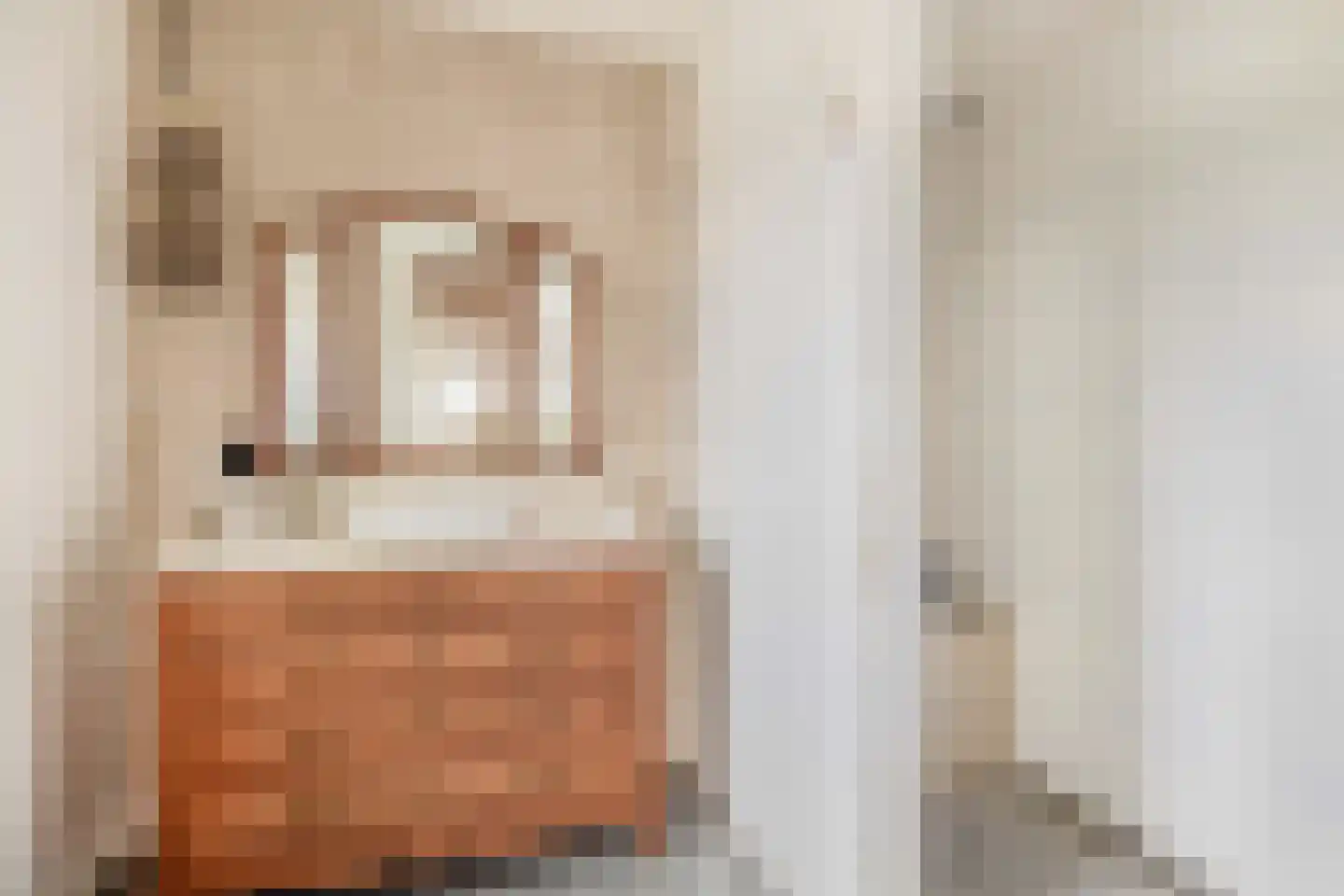 Snoertsebaan 40 Deurne thumbnail 32
