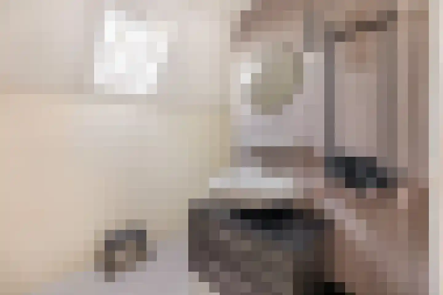 Snoertsebaan 40 Deurne thumbnail 39
