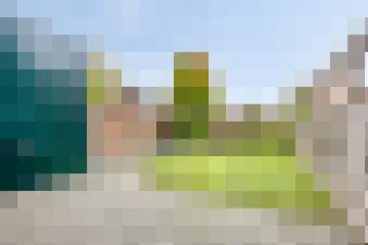 Snoertsebaan 40 Deurne thumbnail 40