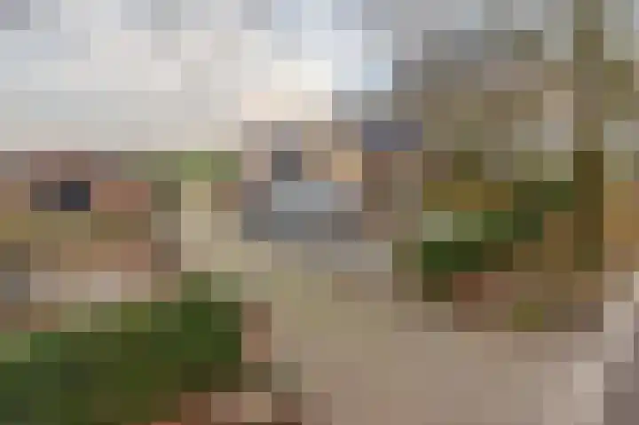 Snoertsebaan 40 Deurne thumbnail 44