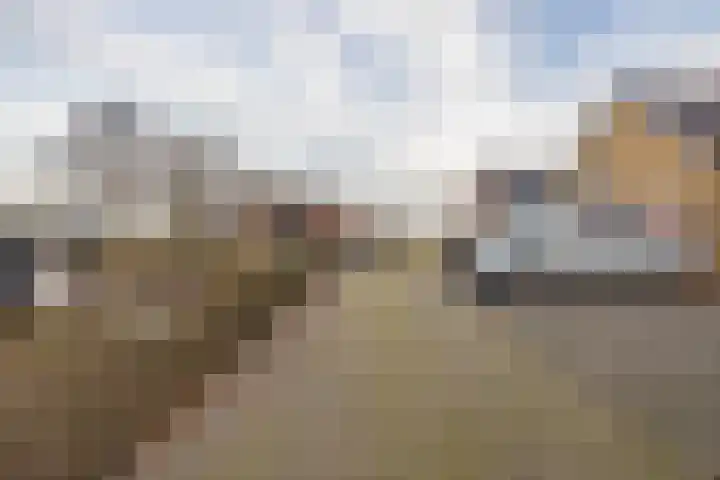 Snoertsebaan 40 Deurne thumbnail 45