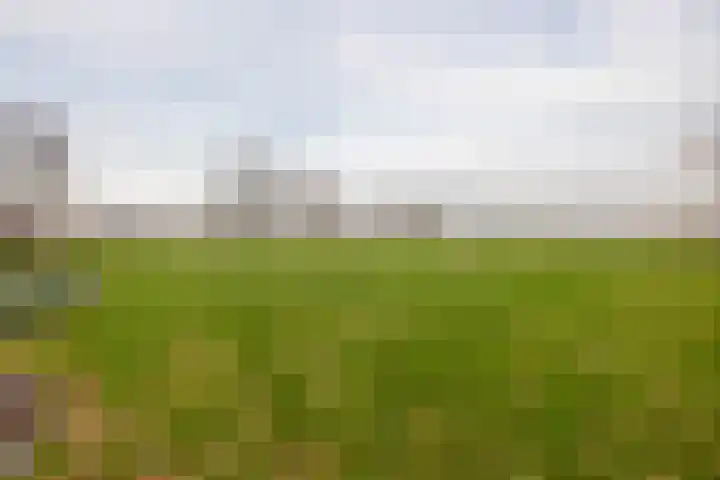 Snoertsebaan 40 Deurne thumbnail 53