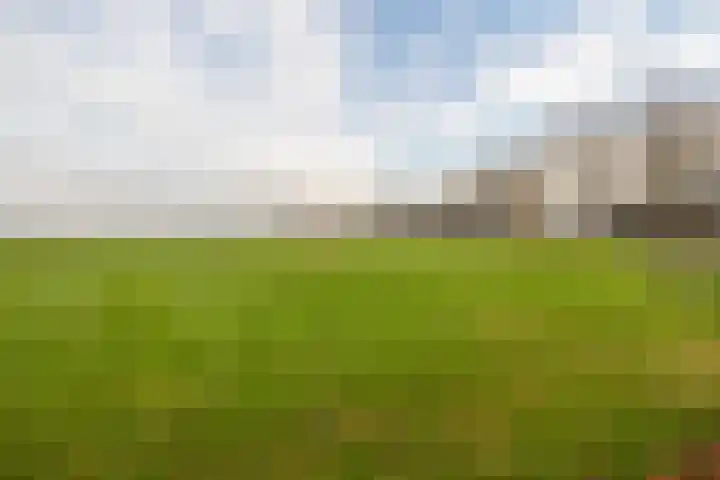 Snoertsebaan 40 Deurne thumbnail 54