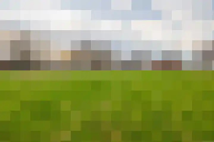 Snoertsebaan 40 Deurne thumbnail 55