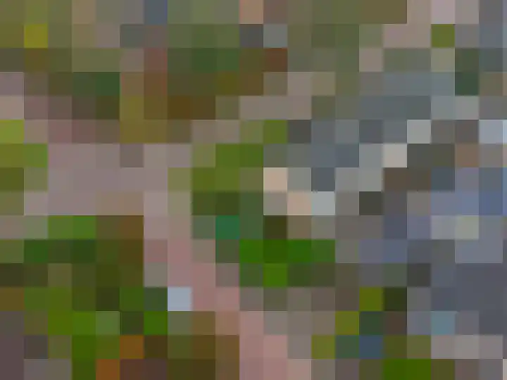Snoertsebaan 40 Deurne thumbnail 63