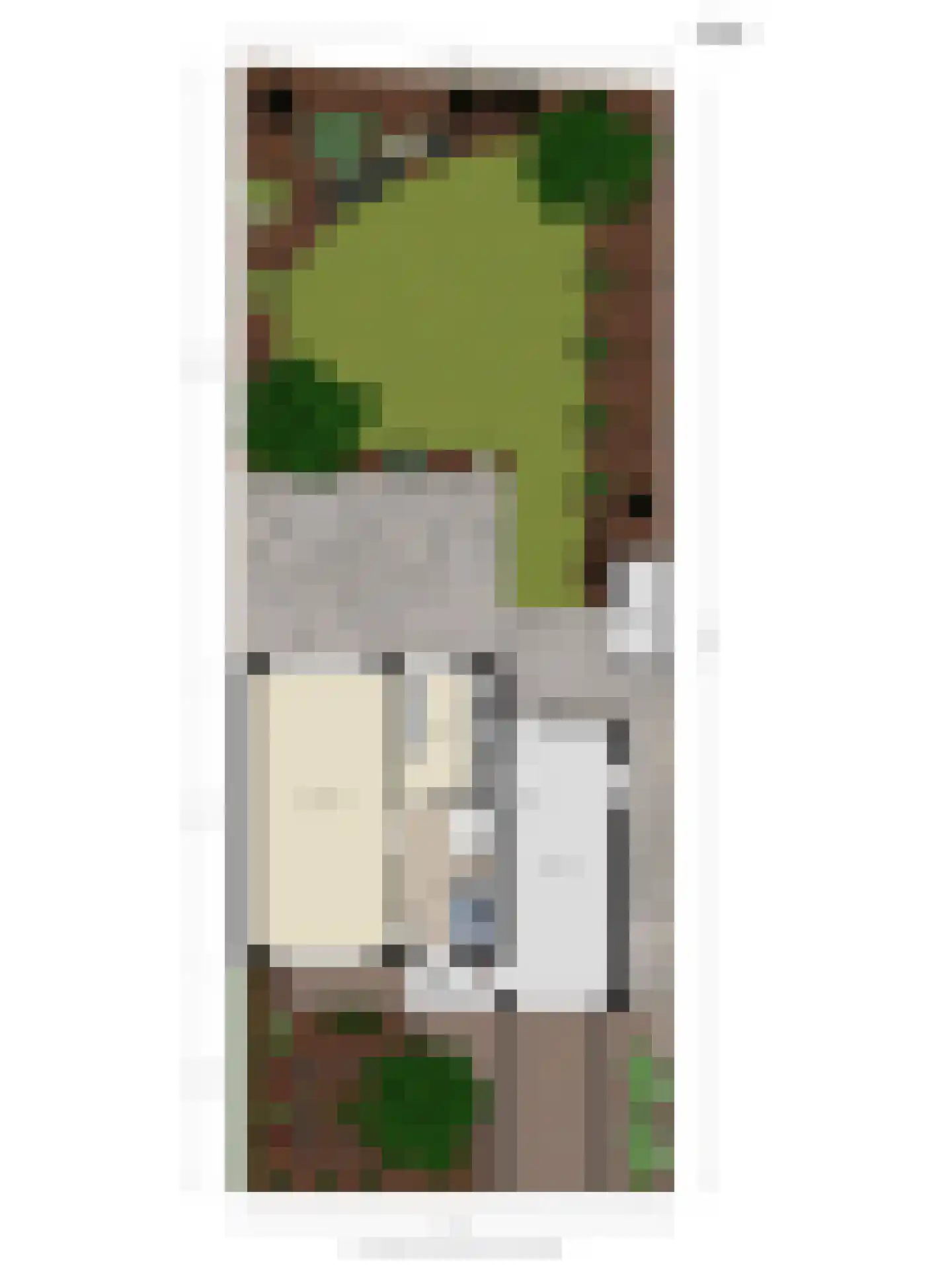 Snoodijkstraat 11 Wemeldinge thumbnail 12
