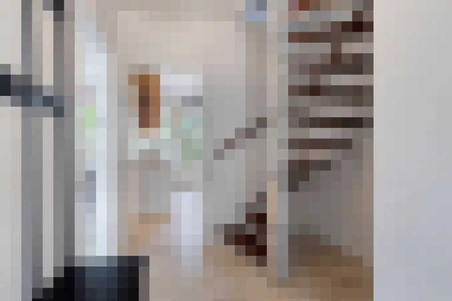 Snoodijkstraat 11 Wemeldinge thumbnail 16
