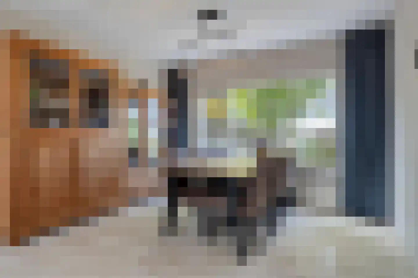 Snoodijkstraat 11 Wemeldinge thumbnail 20