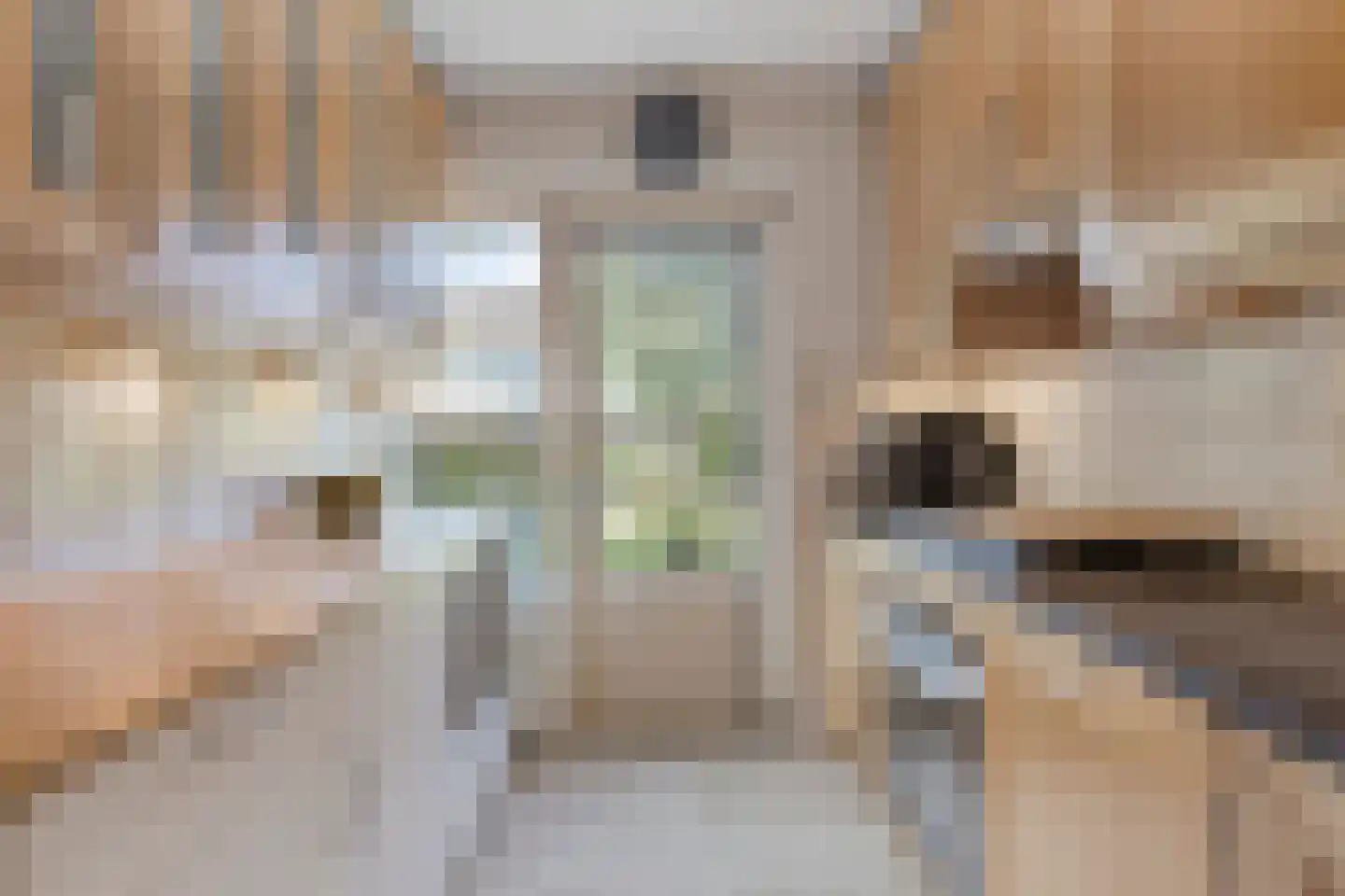 Snoodijkstraat 11 Wemeldinge thumbnail 22