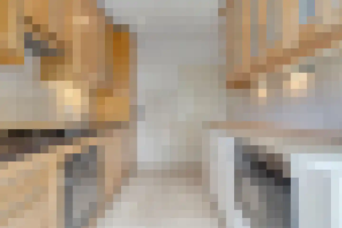 Snoodijkstraat 11 Wemeldinge thumbnail 23