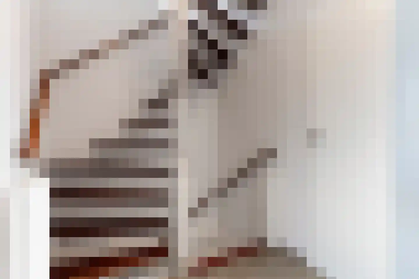 Snoodijkstraat 11 Wemeldinge thumbnail 35