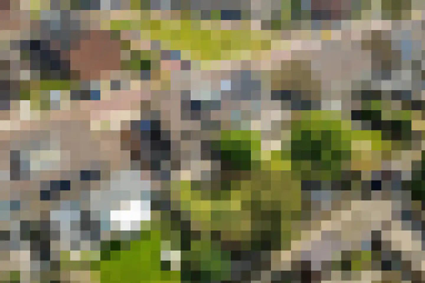 Snoodijkstraat 11 Wemeldinge thumbnail 4