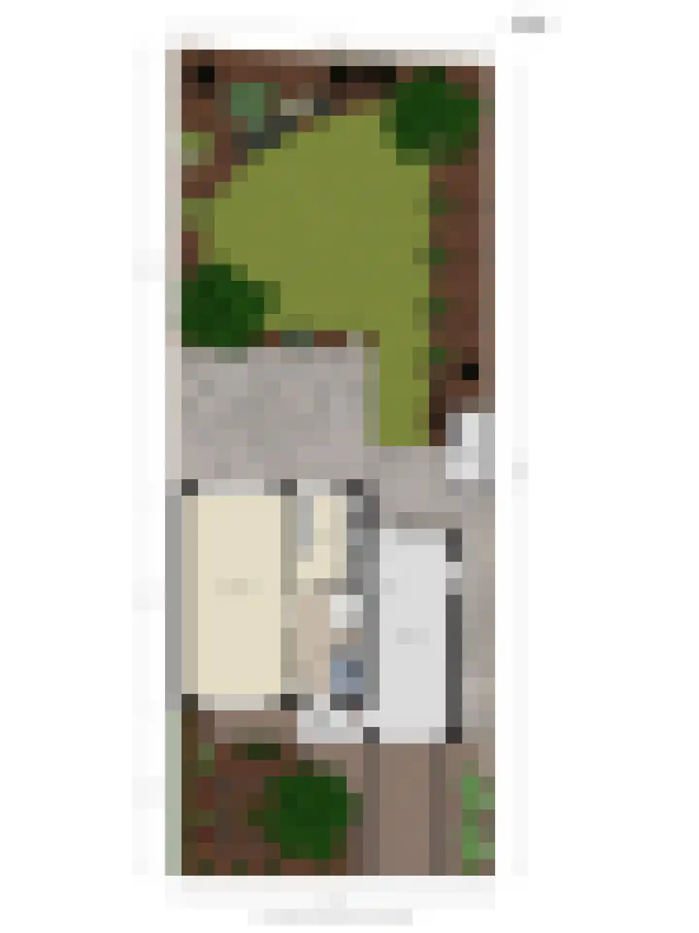 Snoodijkstraat 11 Wemeldinge thumbnail 48