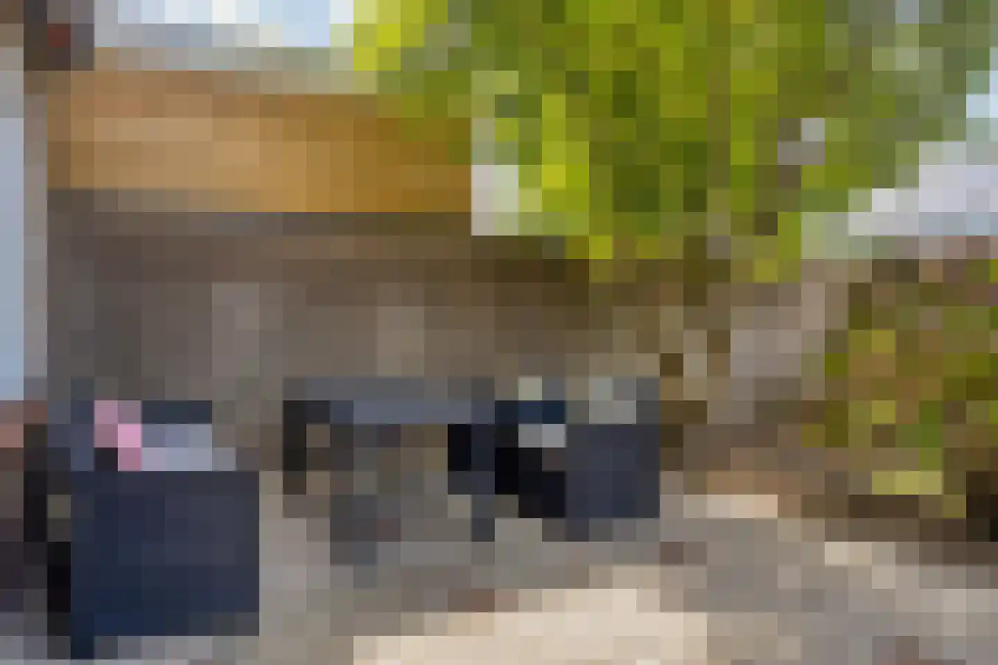 Snoodijkstraat 11 Wemeldinge thumbnail 9