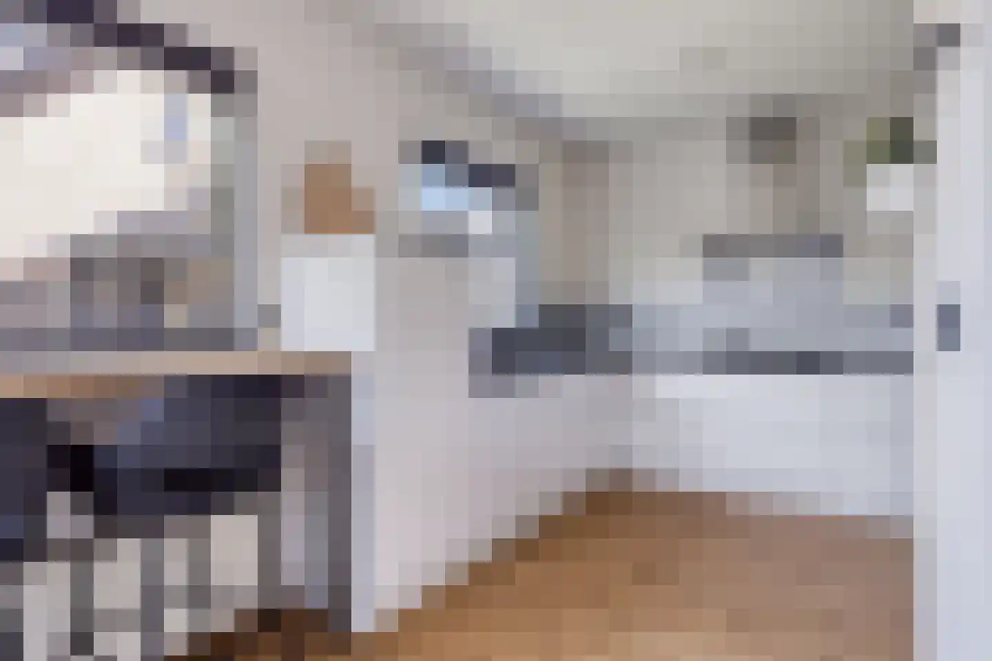 Snoodijkstraat 19 Wemeldinge thumbnail 15