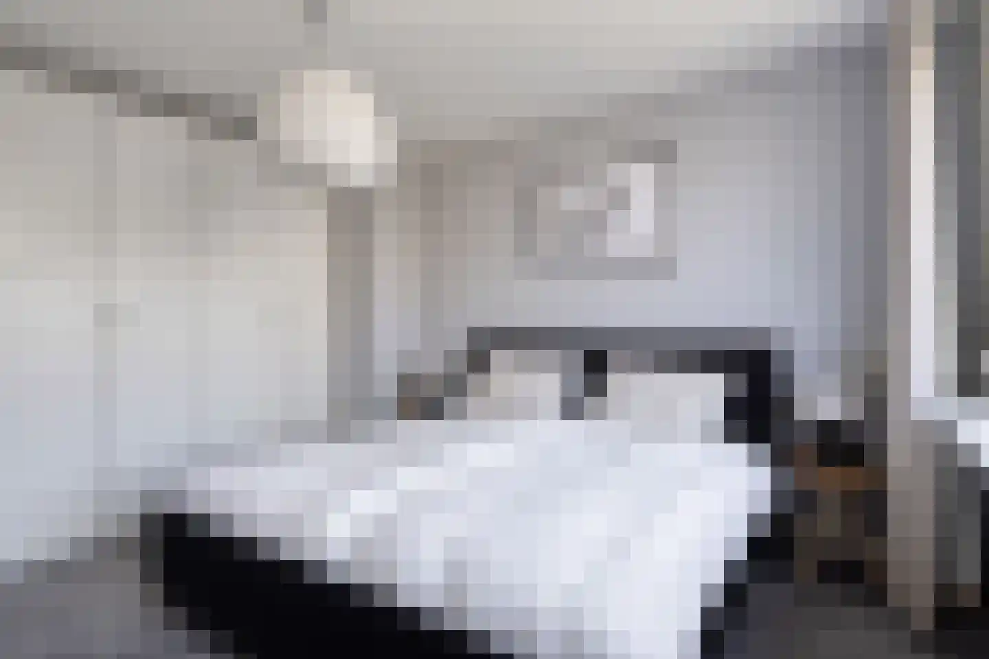 Snoodijkstraat 19 Wemeldinge thumbnail 22