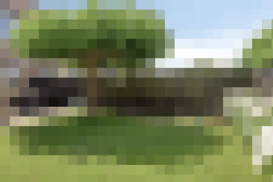 Snoodijkstraat 19 Wemeldinge thumbnail 34