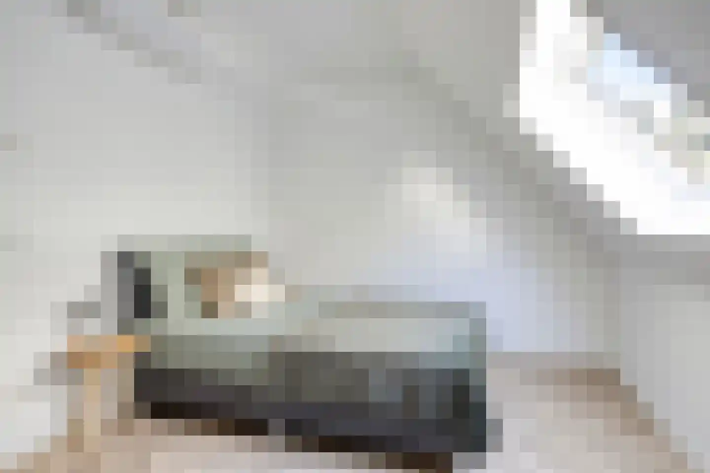 Snor Damsterdiep 10 Groningen thumbnail 23