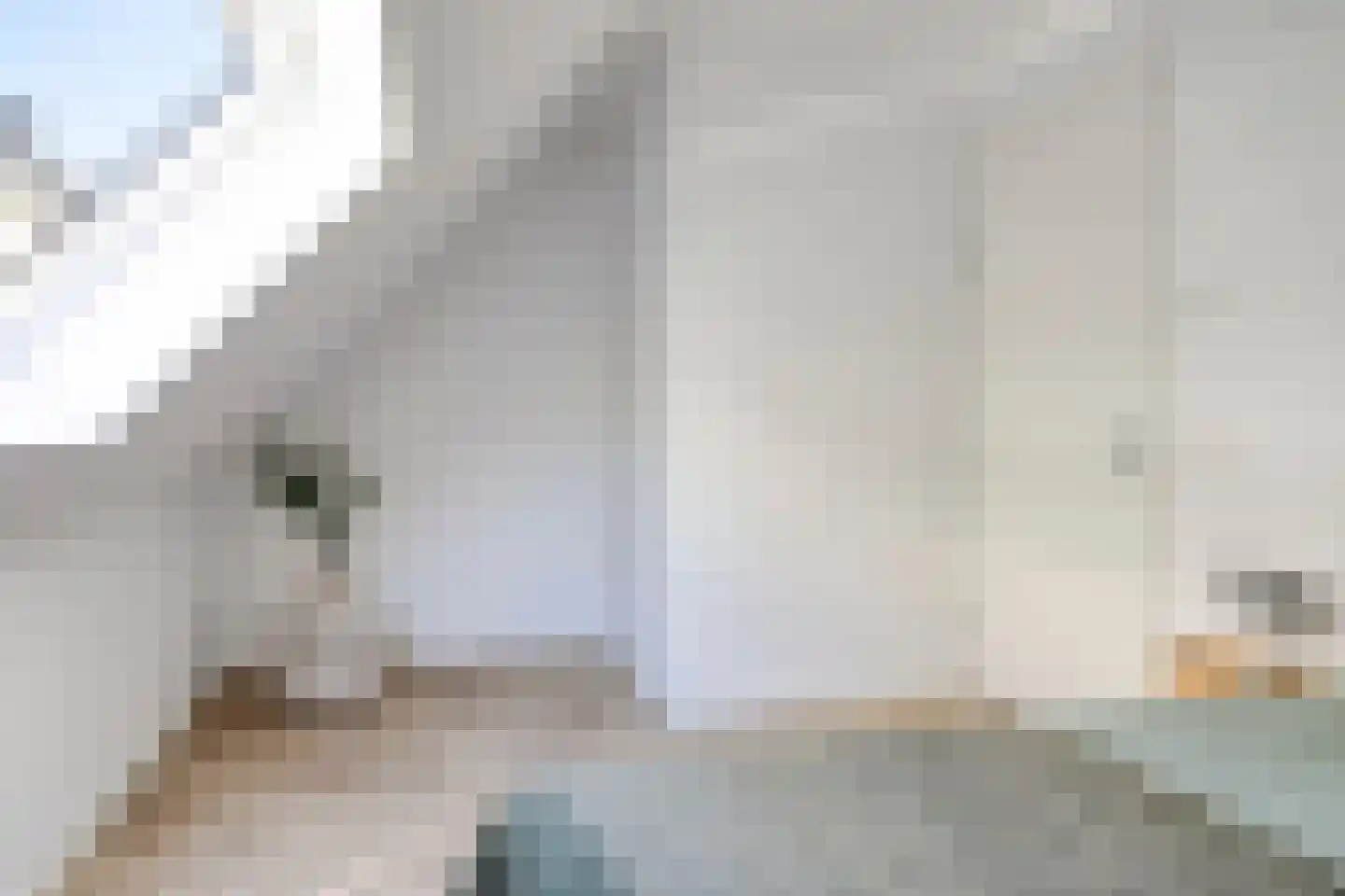 Snor Damsterdiep 10 Groningen thumbnail 25