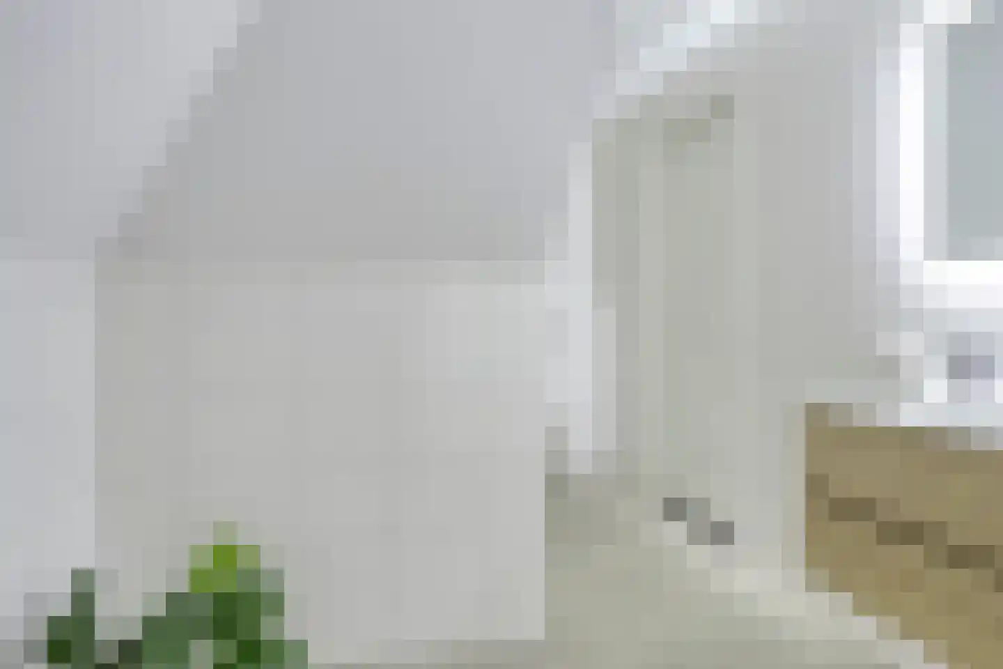 Snor Damsterdiep 10 Groningen thumbnail 31