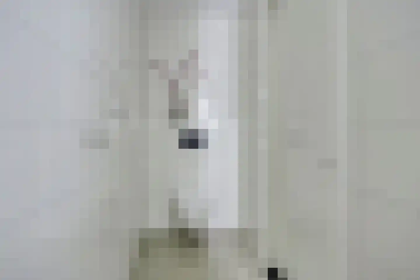 Snor Damsterdiep 10 Groningen thumbnail 32
