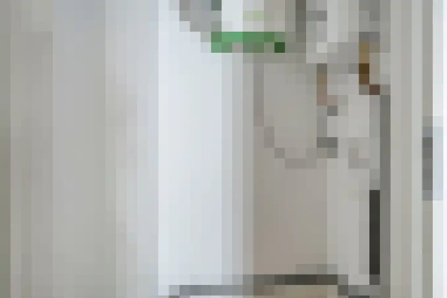 Snor Damsterdiep 10 Groningen thumbnail 34