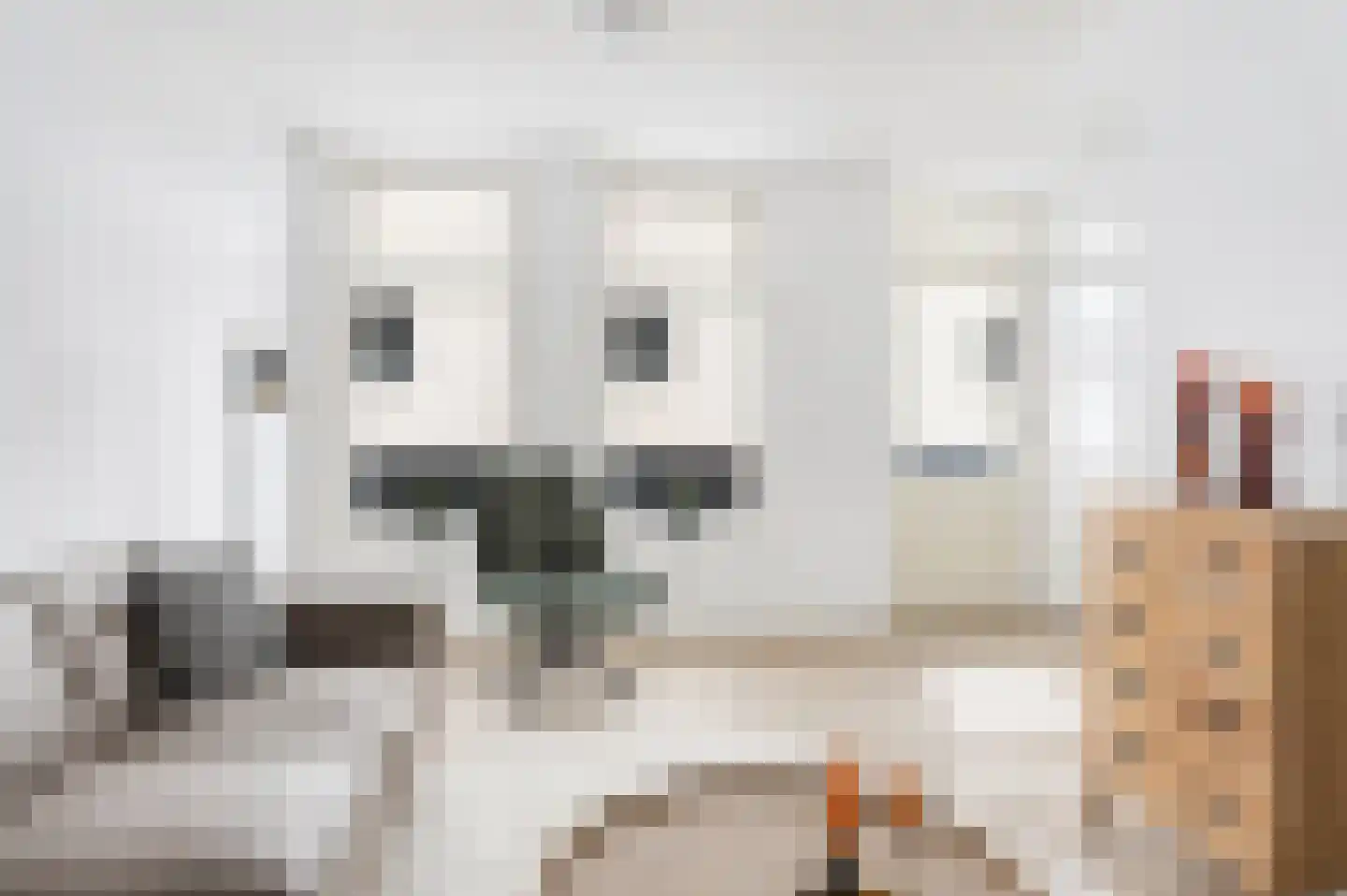 Snor Damsterdiep 10 Groningen thumbnail 5