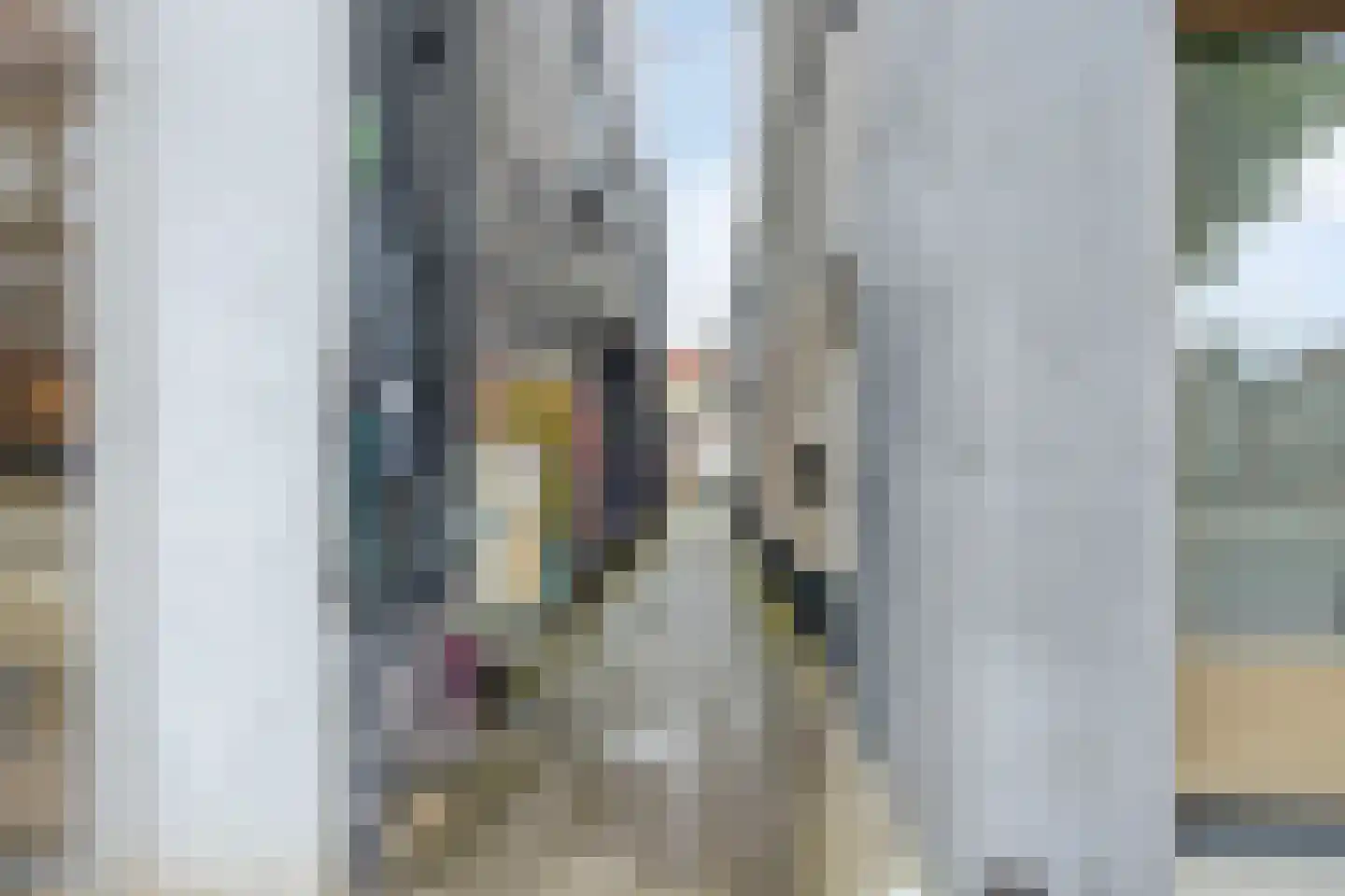 Snor Damsterdiep 6 Groningen thumbnail 34